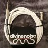 Empire Guitars Accessories Divine Noise 25ft Instrument Cable ST-RA (Straight-Right Angle) White *Free Shipping In The USA*