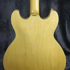 Aria ProII Electric Aria Pro II TA-61/N 10 Aria ProII Electric Aria Pro II TA-61/N