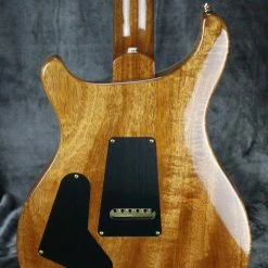 2019 Paul Reed Smith Custom 24 Electric