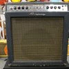 Ampeg Amplification Ampeg 1960's Gemini G-15 W/FTSW Amps