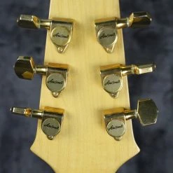 Aria ProII Electric Aria Pro II TA-61/N 12 Aria ProII Electric Aria Pro II TA-61/N