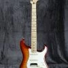 2021 Fender Player Plus Top Stratocaster Electric