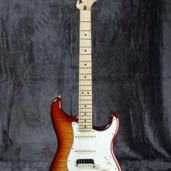 2021 Fender Player Plus Top Stratocaster Electric