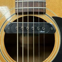 1976 Epiphone Bicentennial FT-200