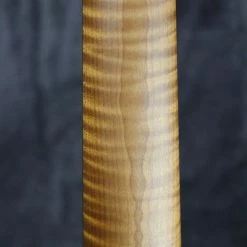 Electric 2021 Xotic XSC-2