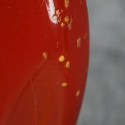 Empire Guitars 2001 Fender American Vintage '62 Reissue Jazz Bass