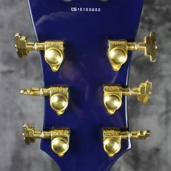 Electric D'Angelico EXL-1